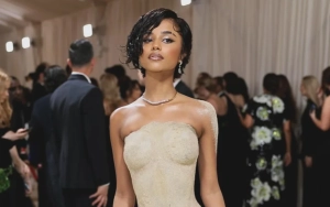 Met Gala 2024: Tyla Dubbed 'Clown,' Compared to Doja Cat After Getting a Lift in Sand Dress