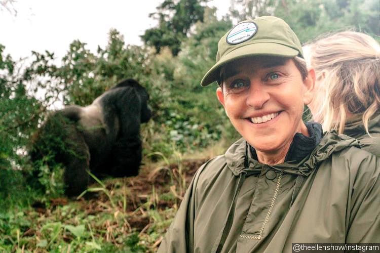 Ellen DeGeneres Documents Encounter With Mountain Gorillas in Rwanda