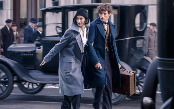 Eddie Redmayne and Katherine Waterston Frustrated by 'Fantastic Beasts' Sequel's Romance Plot