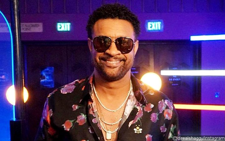 Shaggy Warns Fans of Internet Scammers Pretending to Be Him