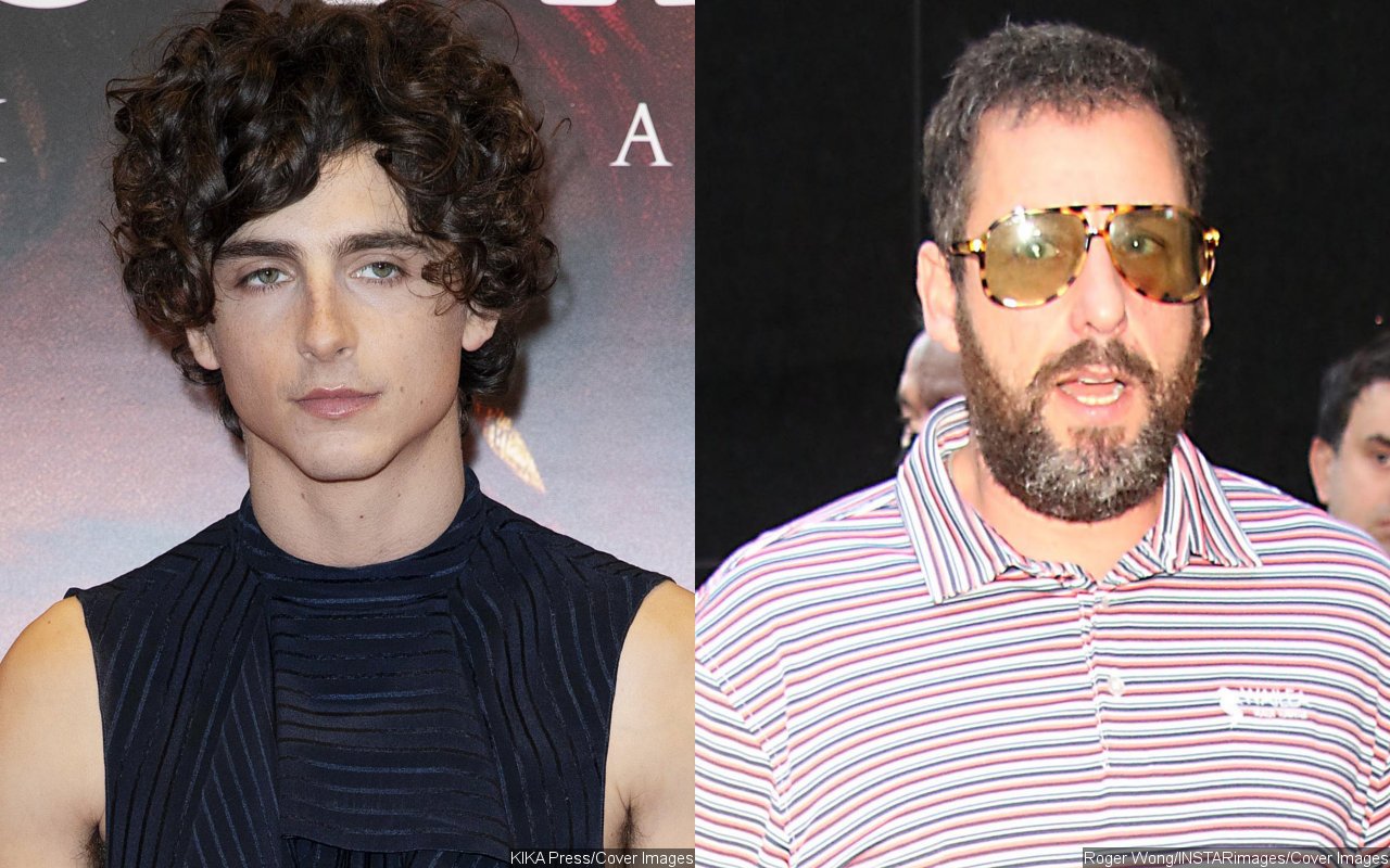 Timothee Chalamet and Adam Sandler Confuse Fans by Randomly Playing Basketball Together