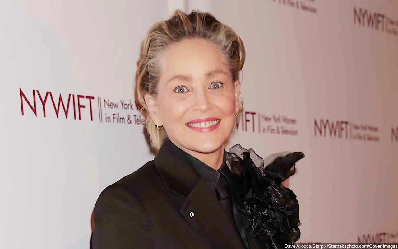 Sharon Stone Accused by Doctors of 'Faking' Brain Haemorrhage