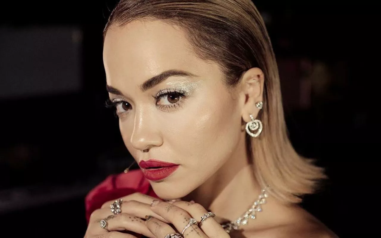 Rita Ora Admits She Didn't Know How to Use Air Fryer