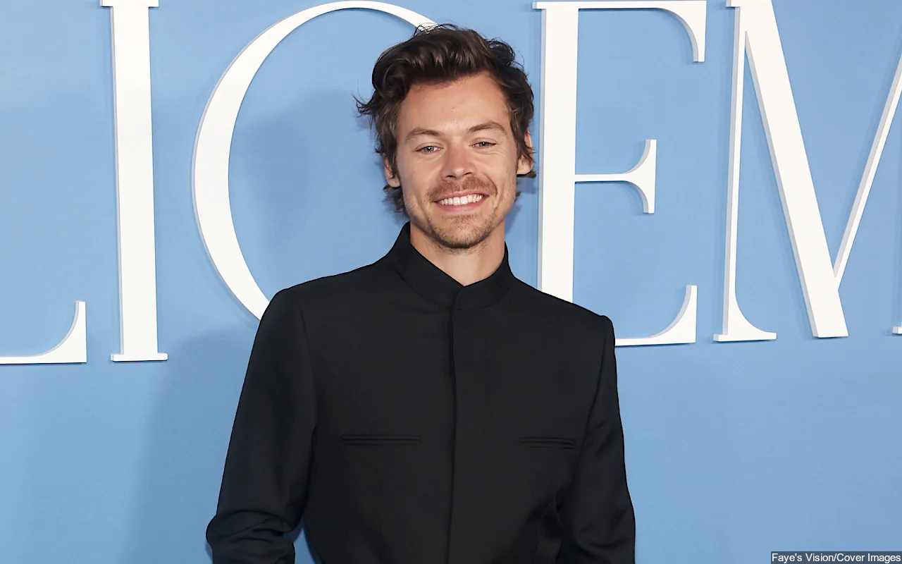 Harry Styles' Alleged Stalker Charged for Causing 'Distress' as Singer Is 'Shaken Up'