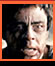 The Wolfman
