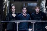 'Deathly Hallows Part 2' Storms Box Office With Highest Opening Ever