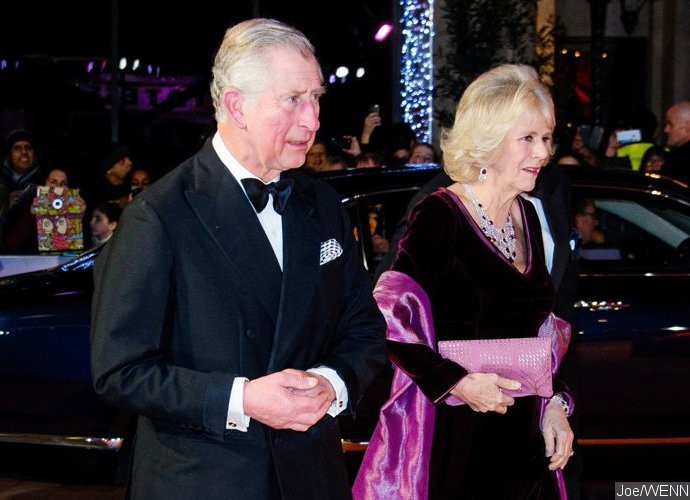Camilla Recalls 'Horrid' Time After Prince Charles Affair Was Revealed