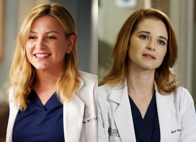 'Grey's Anatomy' Fan-Favorites Jessica Capshaw and Sarah Drew Exit After Season 14