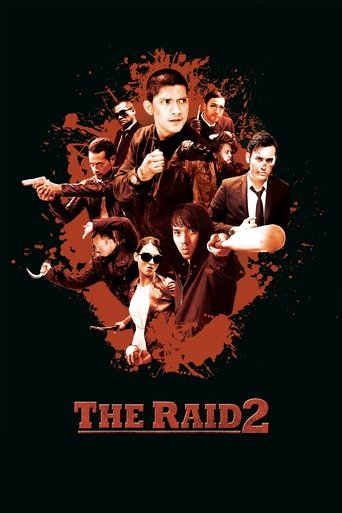 Raid, The