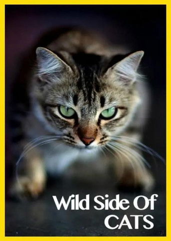 Wild Side
