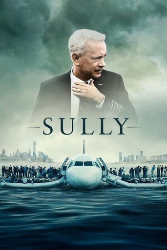 Miracle On The Hudson