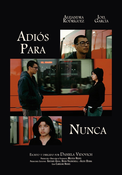 AdiΓ³s Para Nunca
