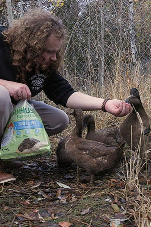 Baylin And The Ducks
