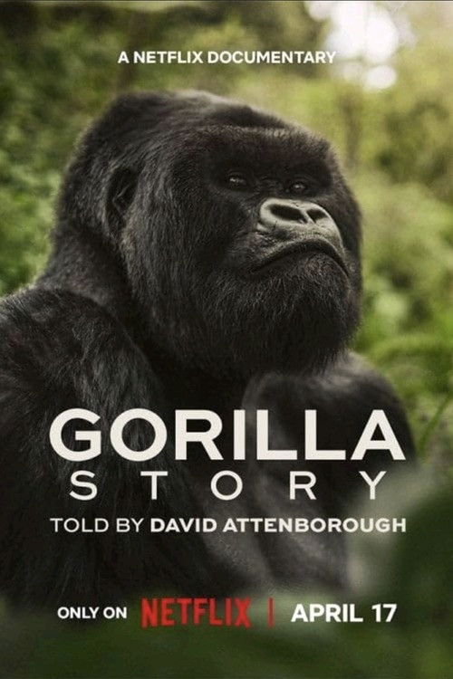 A Gorilla Story: Told By David Attenborough