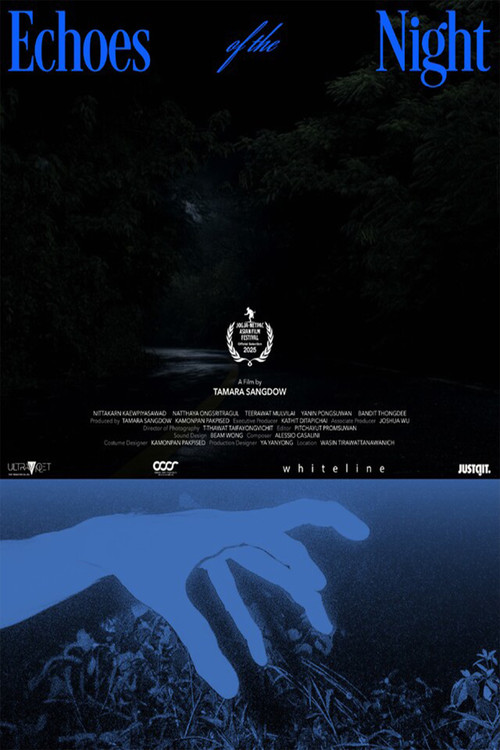 Echoes Of The Night