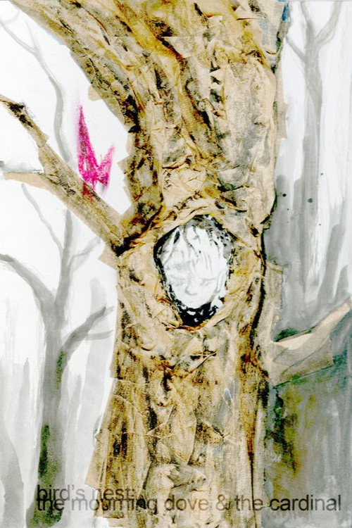 Bird's Nest (the Mourning Dove And The Cardinal)