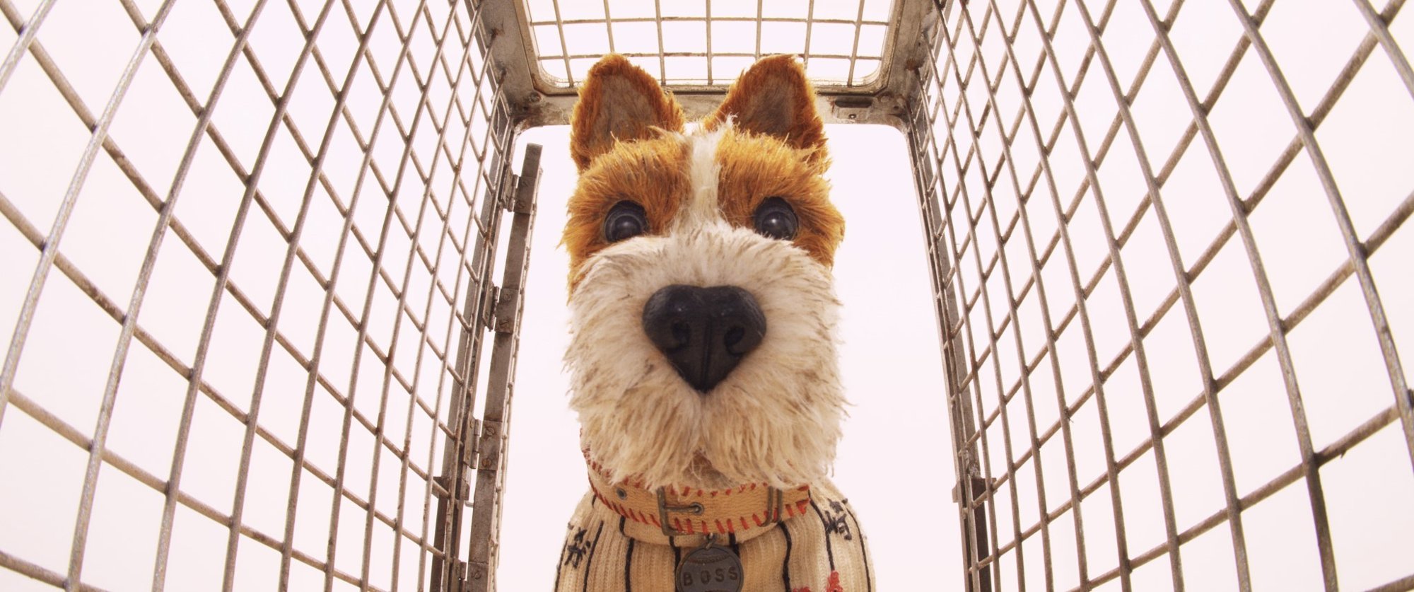 Boss from Fox Searchlight Pictures' Isle of Dogs (2018)