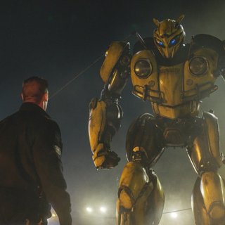 Bumblebee Picture 4