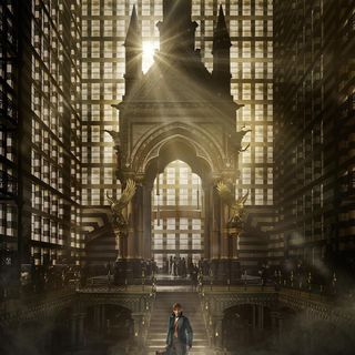 Fantastic Beasts and Where to Find Them Picture 3