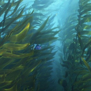 Finding Dory Picture 5