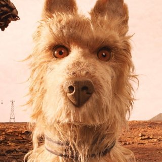 Isle of Dogs Picture 4