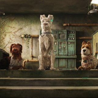 Isle of Dogs Picture 6