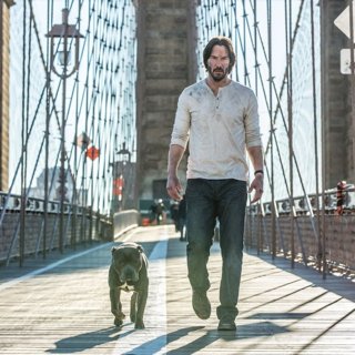 John Wick: Chapter 2 Picture 19