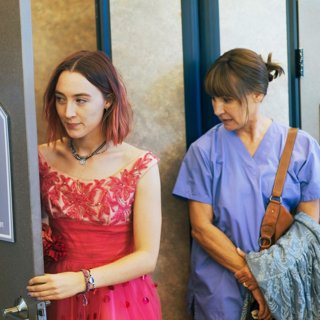 Lady Bird Picture 8
