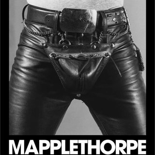 Poster of Samuel Goldwyn Films's Mapplethorpe (2018)