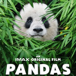 Pandas Picture 1