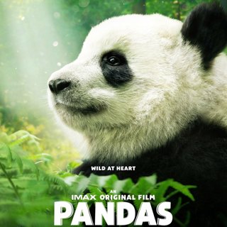 Poster of Warner Bros. Pictures' Pandas (2018)