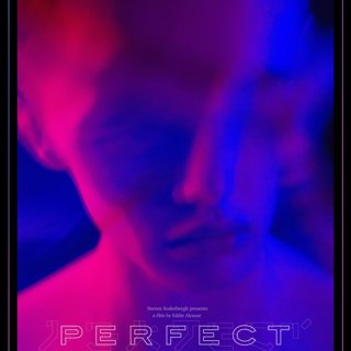 Poster of Brainfeeder Films' Perfect (2019)