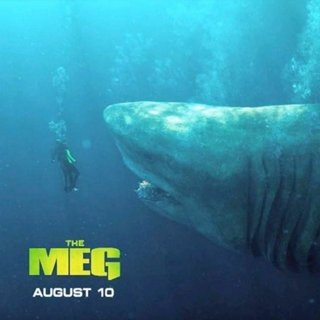 The Meg Picture 8