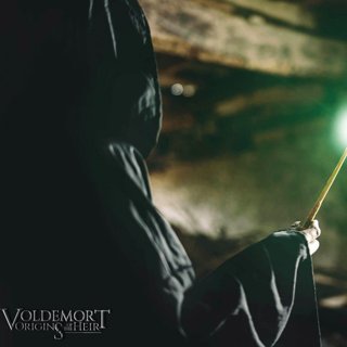 Voldemort: Origins of the Heir Picture 13