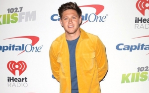 Niall Horan Grills Taylor Swift Over Bf Joe Alwyn