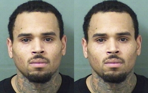 Chris Brown Arrested After Concert in Florida