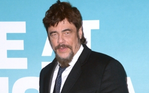 Benicio Del Toro to Lend Voice to Thieving Fox in 'Dora the Explorer'