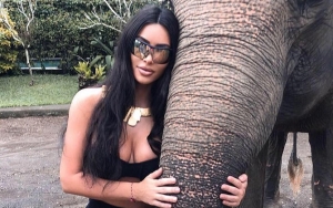 Kim Kardashian Condemned by PETA for Promoting Elephant 'Sanctuary' 