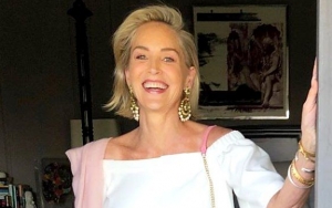 Sharon Stone Condemns 'Brutally Unkind' Treatment She Got After Suffering a Stroke