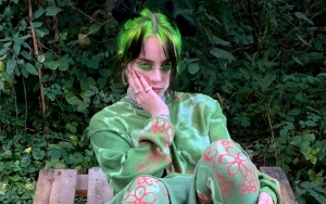 Billie Eilish Pleads With Social Media Fans to 'Be Nicer to Each Other'