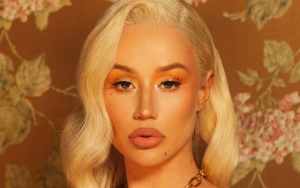 Iggy Azalea Tries to Debunk Pregnancy Rumors With Flat Stomach Video, Fans Don't Believe Her