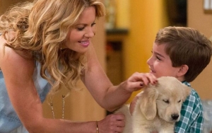 Candace Cameron Bure and Castmates Mourning the Loss of 'Fuller House' Dog