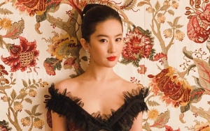 'Mulan' Star Liu Yifei Offers Update on Grandmother's Condition in Wuhan