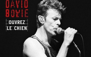 David Bowie's New Live Album Offers His 1995 Dallas Session