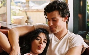 Shawn Mendes and Camila Cabello 'Taking Some Time Apart' After a 'Whirlwind' Year