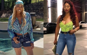 NeNe Leakes Prays for Former Basketball Wive Brandi Maxiell to Beat Severe COVID-19 Complications