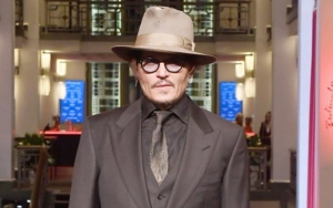 Johnny Depp's Fans Slam Hulu's 'Animaniacs' Revival Over Liar Joke