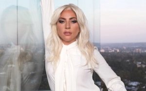 Teen Suspect in Lady GaGa's Dognapping Case Denied Request to Lower Bail
