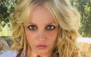 Britney Spears Receives Support From American Civil Liberties Union Amid Abuse Allegations
