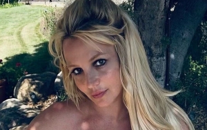 Britney Spears Goes Topless in New Outdoor Selfie